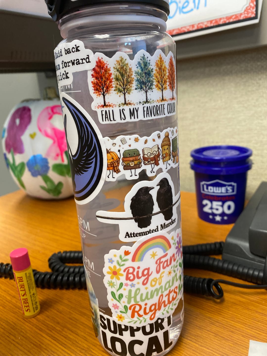 Customer photo review of STICKER CLUB | Monthly Sticker Subscription