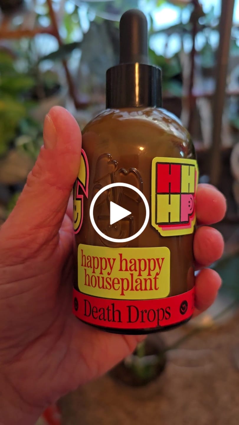 Customer video review of Fungus Gnat Death Drops