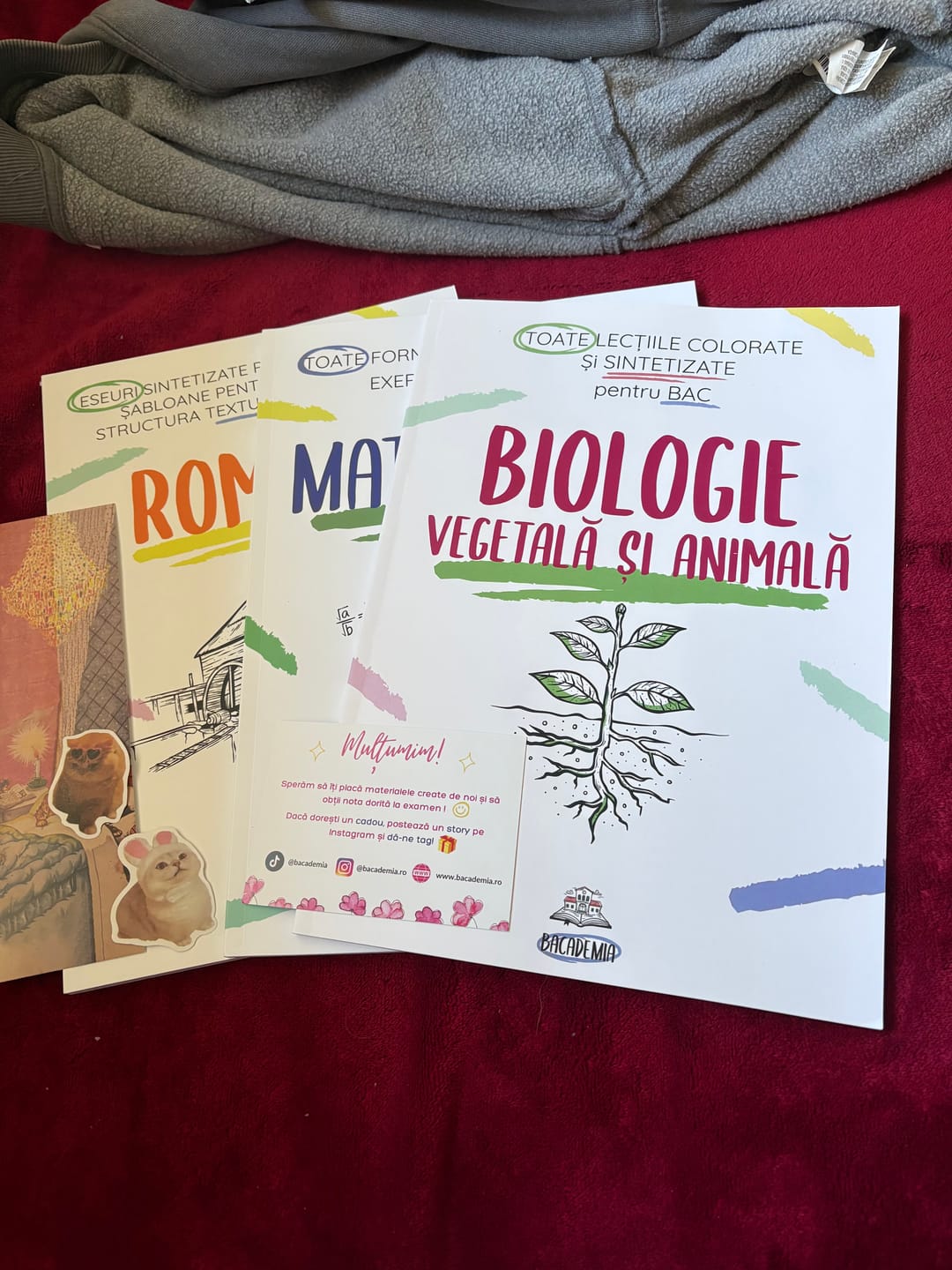 Customer photo review of Pachet Bacalaureat (Română + Matematică + Biologie Vegetală și Animală clasele IX-X) Bacademia