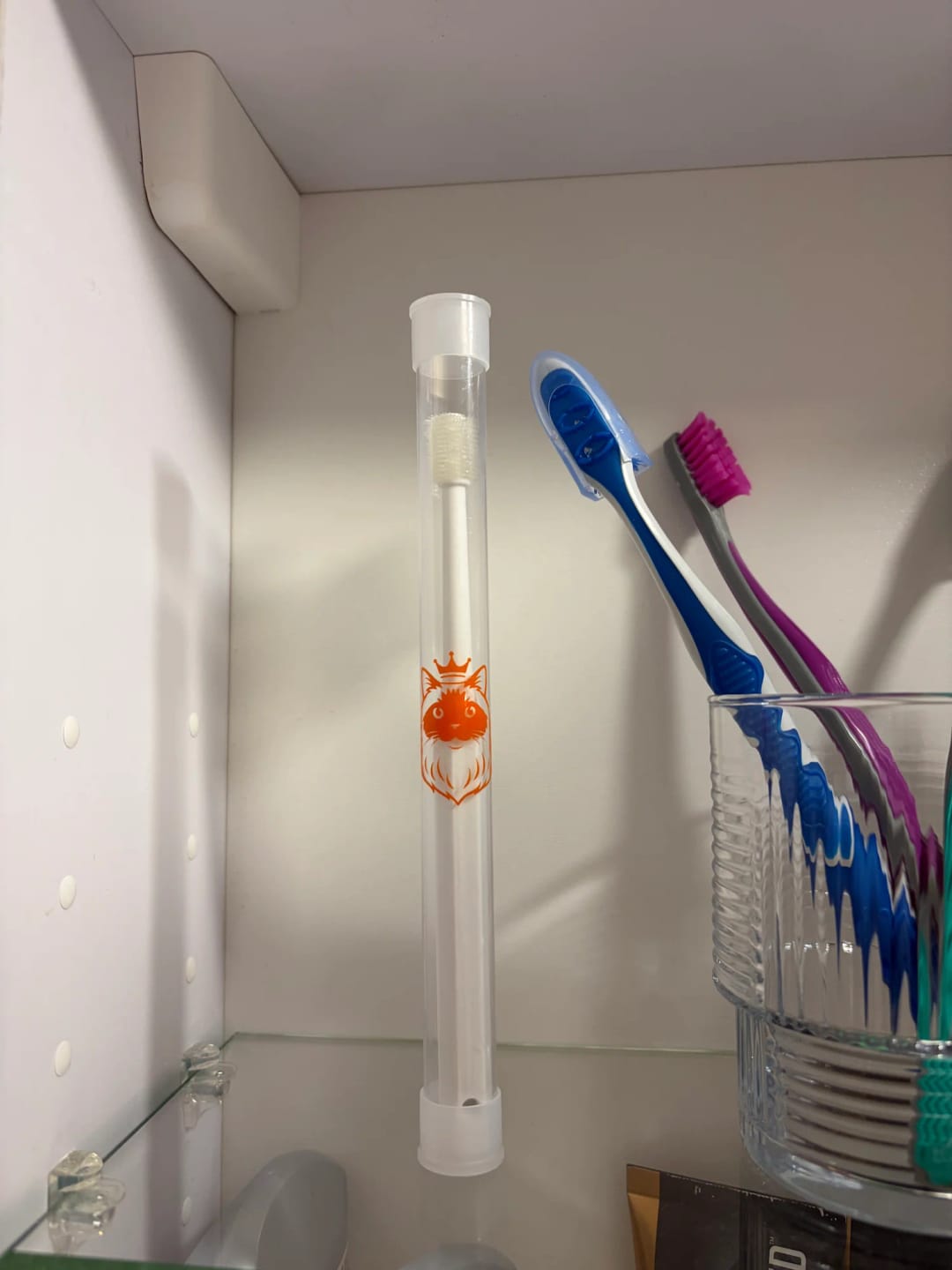 Customer photo review of 360 ToothBrush