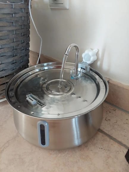 Customer photo review of The Stainless Steel Health Fountain
