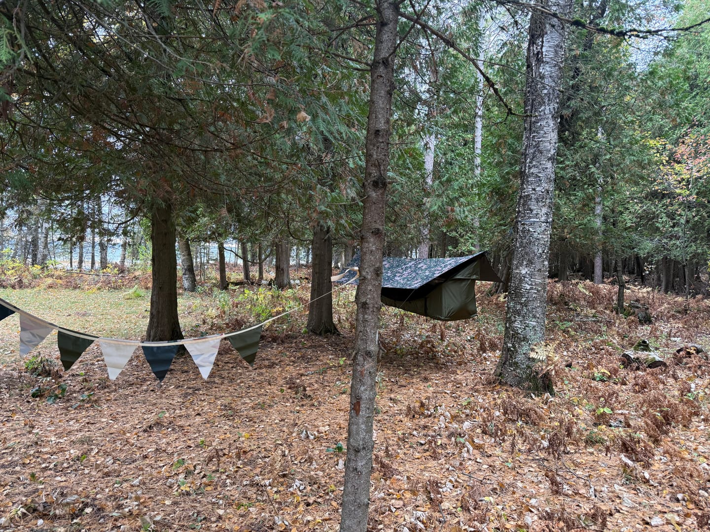 Customer photo review of Haven Safari