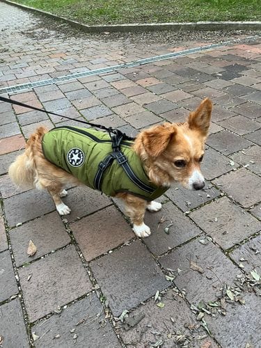 Customer photo review of DinTass 3-i-1-vinterjacka