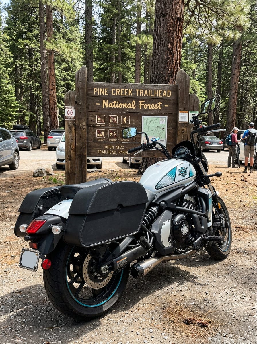 Customer photo review of 28L - Panzer Medium Quick Mount Kawasaki Vulcan S VN650 Leather Saddlebags
