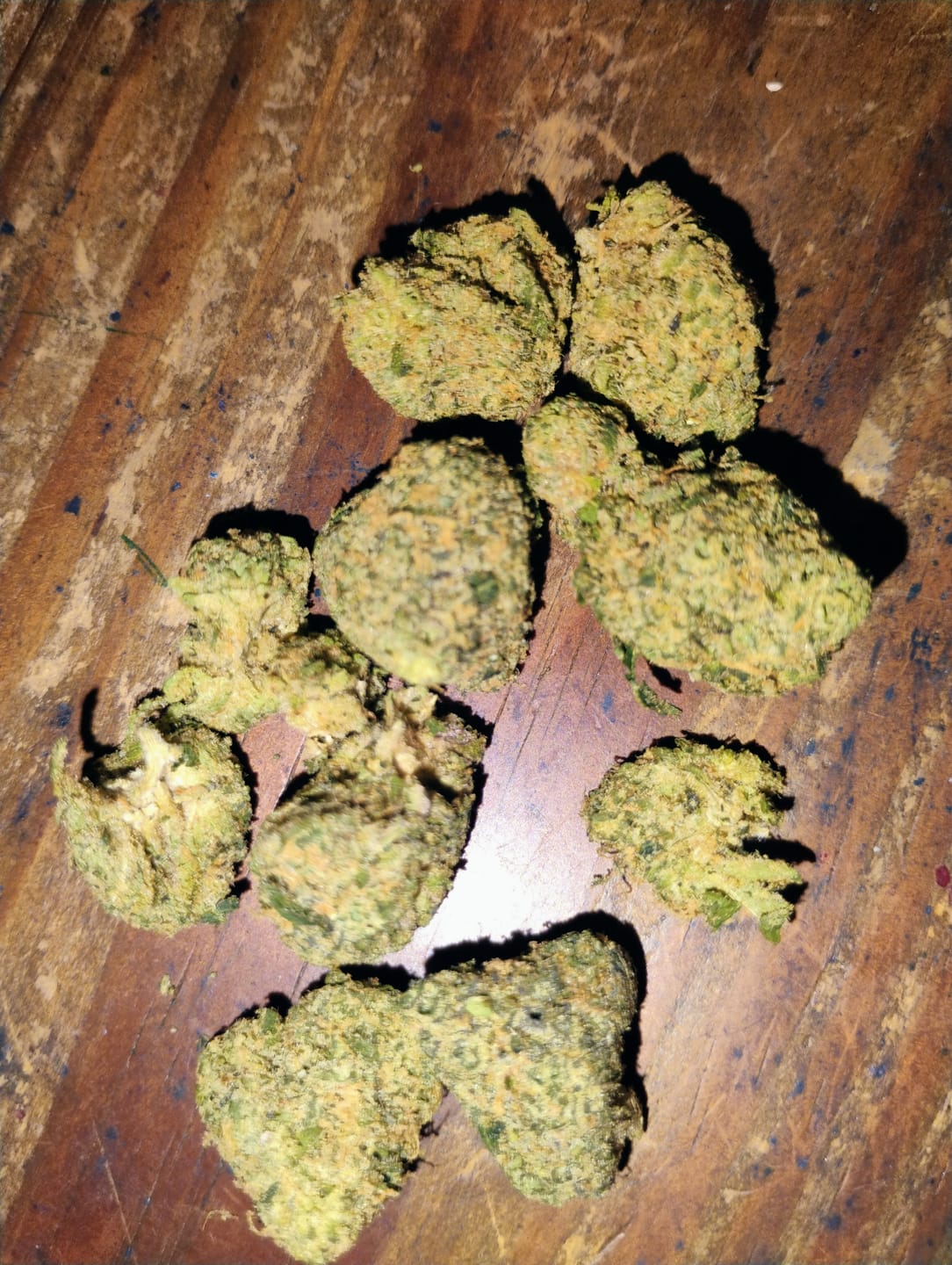 Customer photo review of Biscotti THCA Flower (Budget)