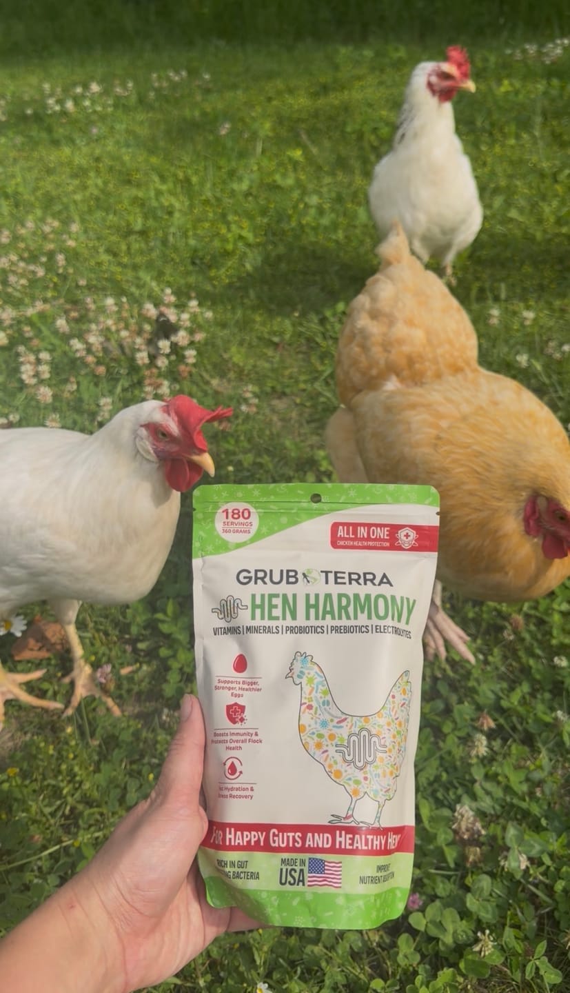 Customer photo review of Hen Harmony. The Daily All In One Supplement for Flock Resilience