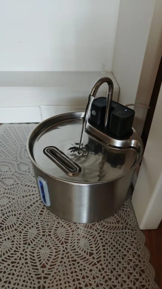 Customer photo review of Motion-Sensor Stainless Steel Pet Fountain