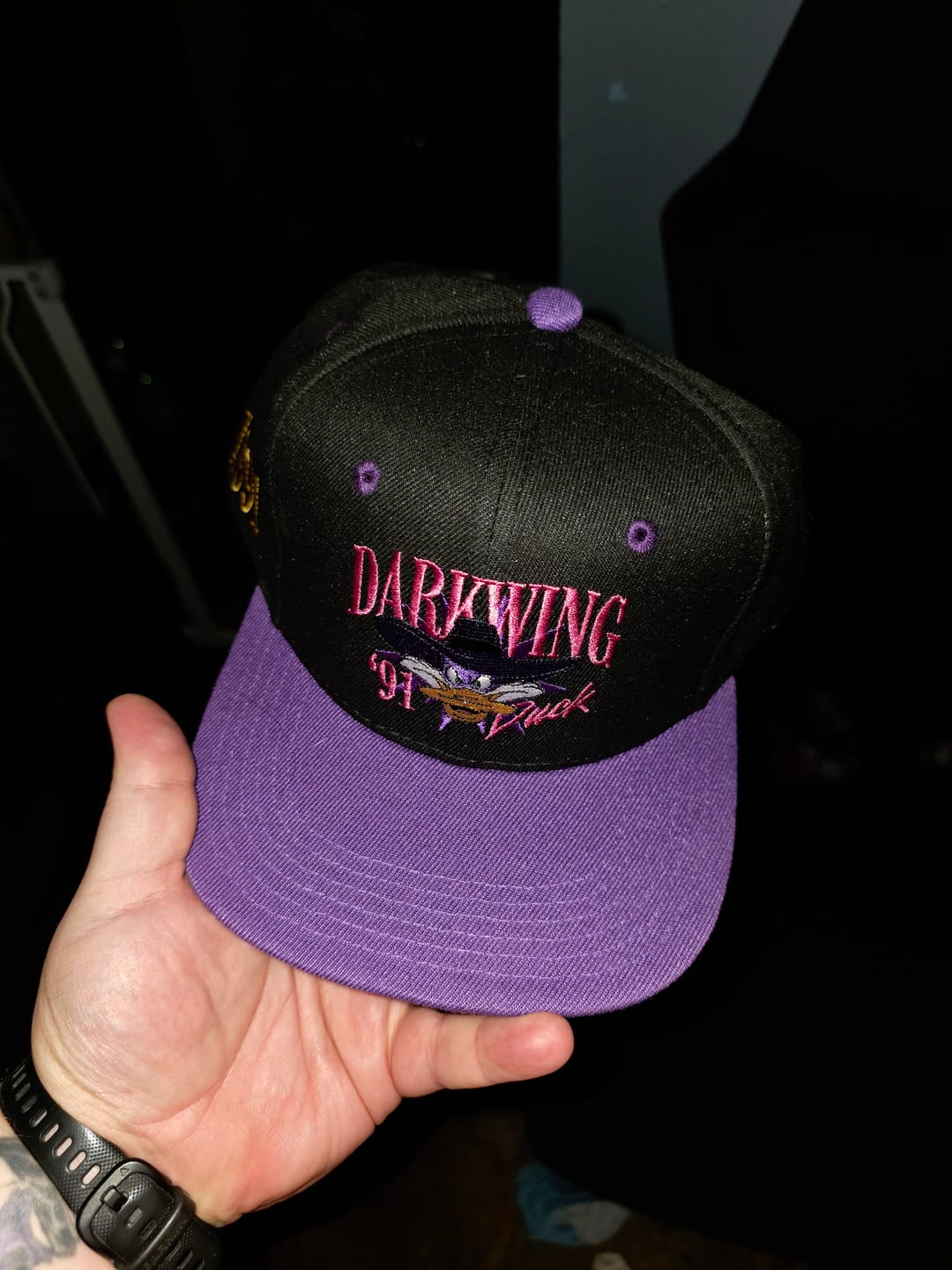 Customer photo review of Disney’s Darkwing Duck "Let's Get Dangerous!" – TLB Hat