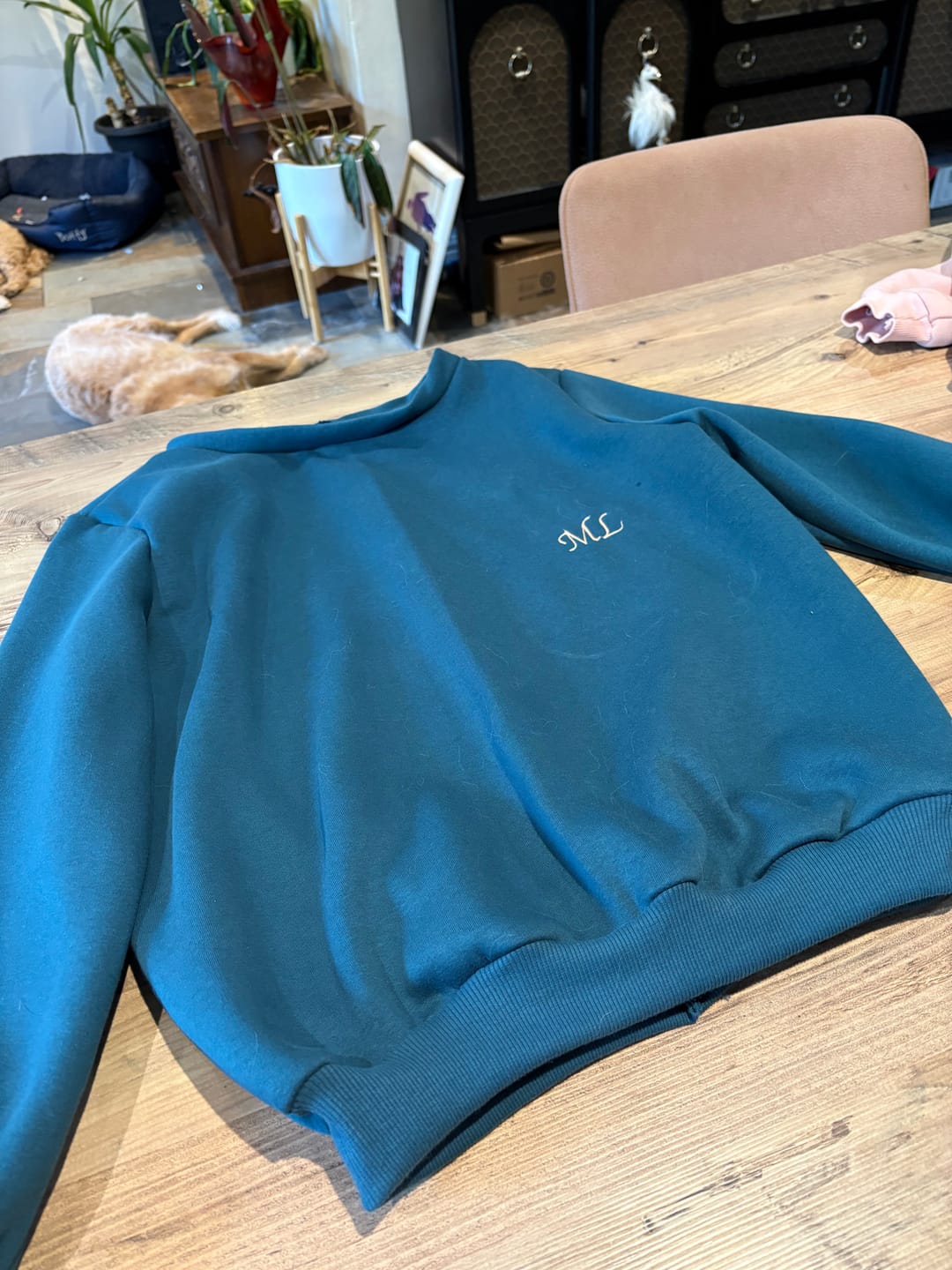 Customer photo review of Plain Sweatshirt Fabric