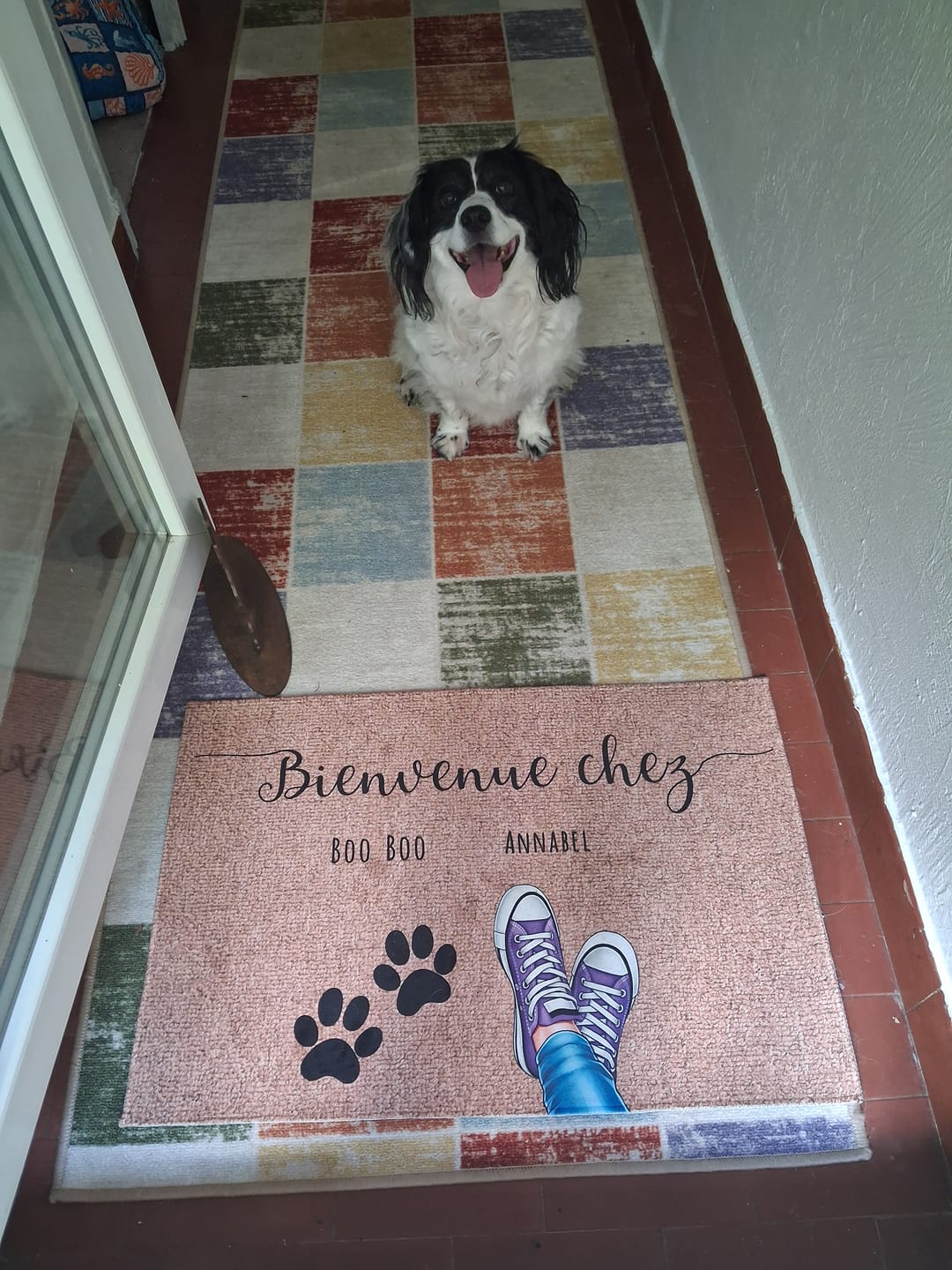 Customer photo review of Paillasson personnalisé - Chaussures et pattes