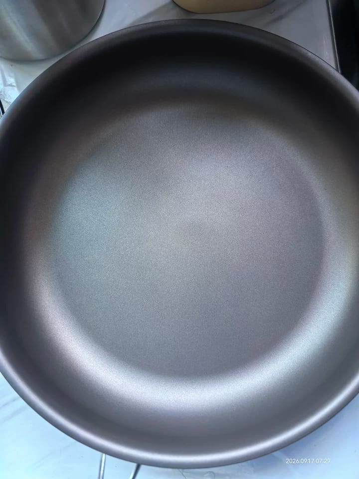 Customer photo review of Pure Pan — Titanium Non-Stick Frying Pan