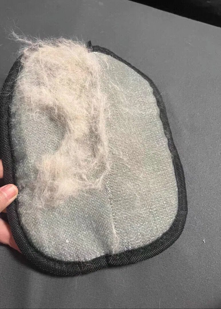 Customer photo review of Gant magique attrape-poils