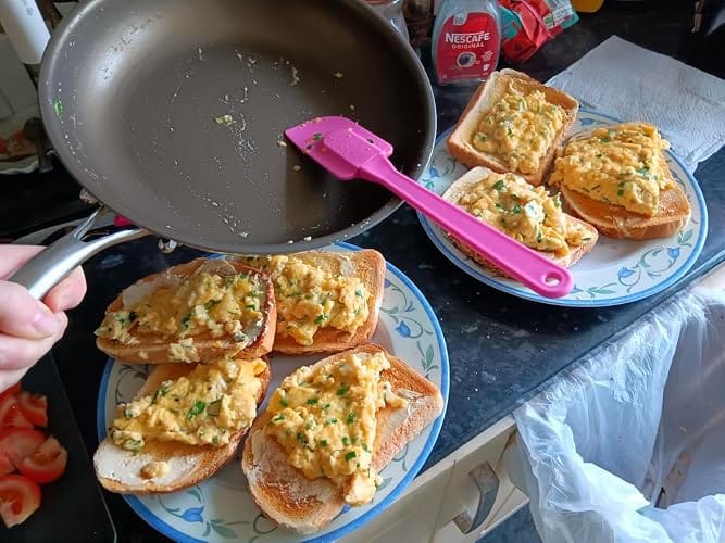 Customer photo review of Pure Pan — Titanium Non-Stick Frying Pan