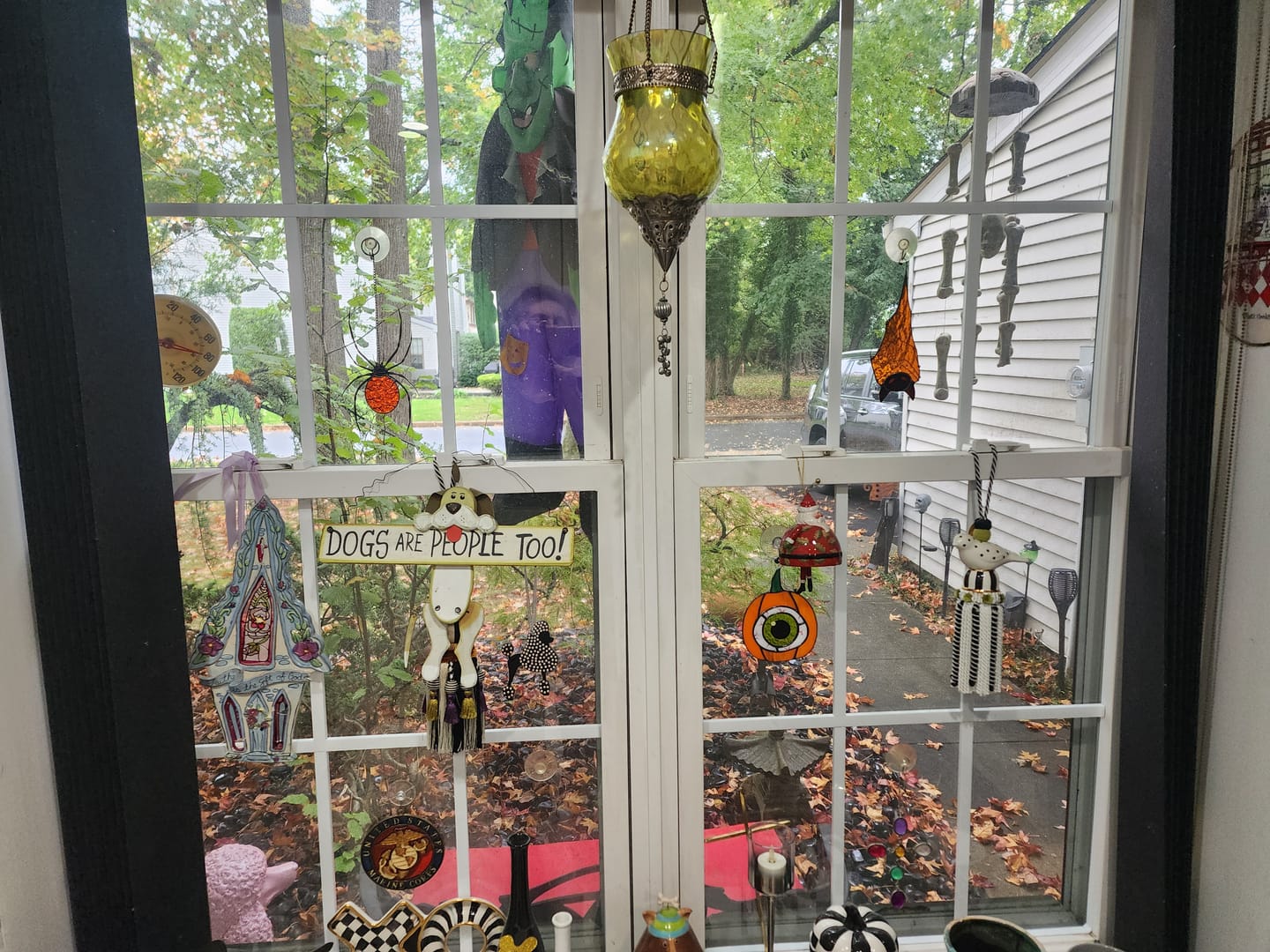 Customer photo review of Halloween Brown Transparent Bat