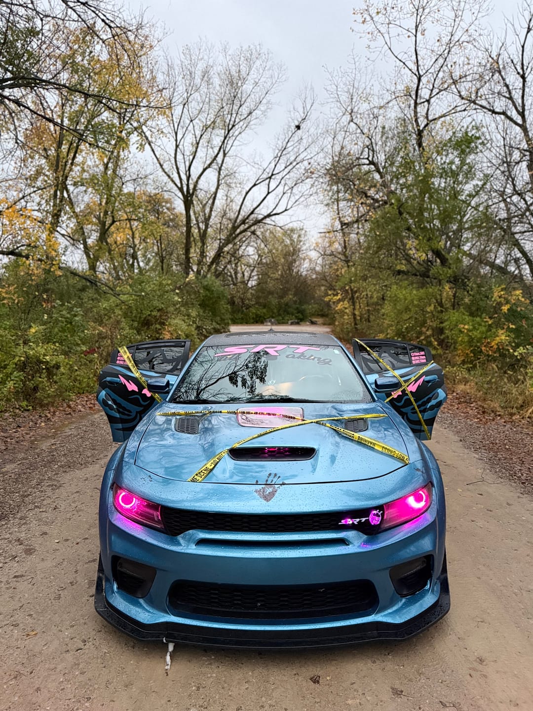 Customer photo review of Corvette C6 Clear Heat Extractor Hood Insert | ZR1 Conversion Package