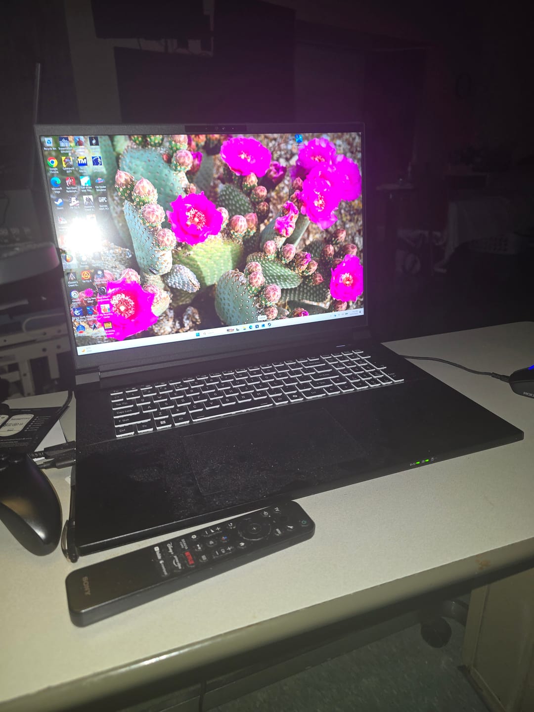 Customer photo review of XM-10 18" 2K RTX 5080 U9 290HX Plus