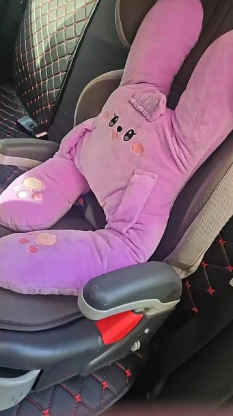 Customer photo review of Dormilú™ - Cojín de Viaje para Niños