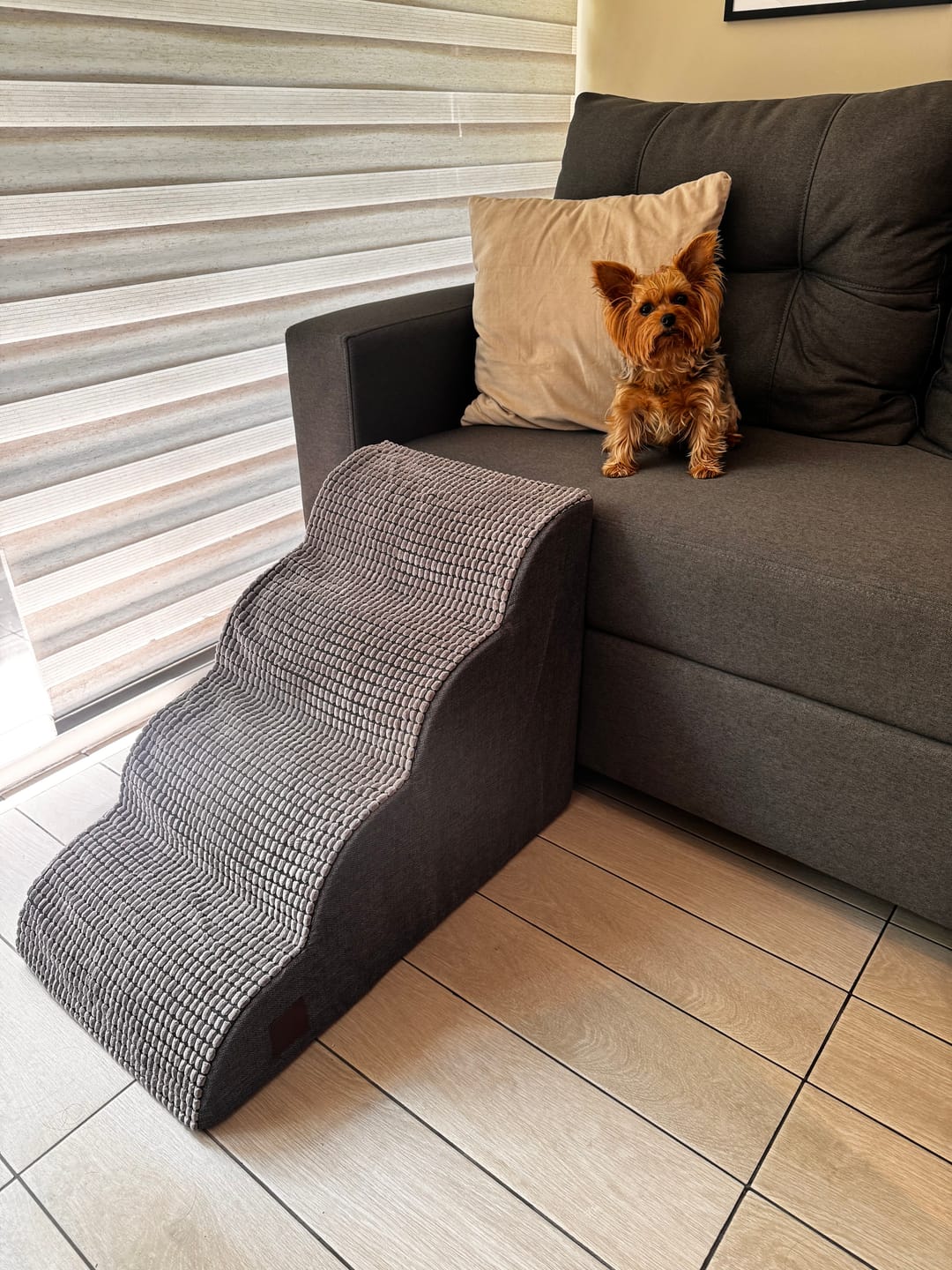 Customer photo review of Rampa Pendiente Suave THE DOGS