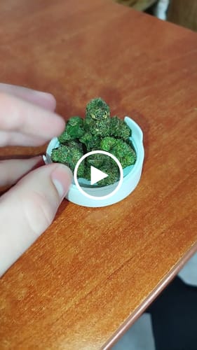 Customer video review of THC-A 34% Flower Do-Si-Dos x Gelato
