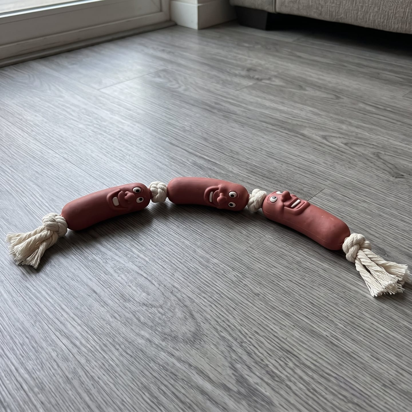Customer photo review of Chew Toy That Saves Your Shoes & Cables