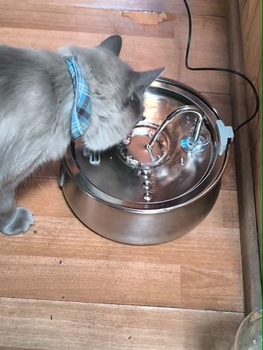 Customer photo review of The Stainless Steel Health Fountain