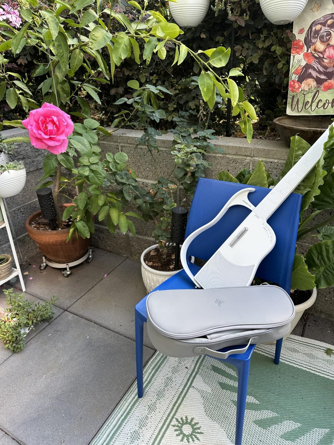 Customer photo review of Donner VIVA Saitenlose Smart-Gitarre für den schnellen Einstieg