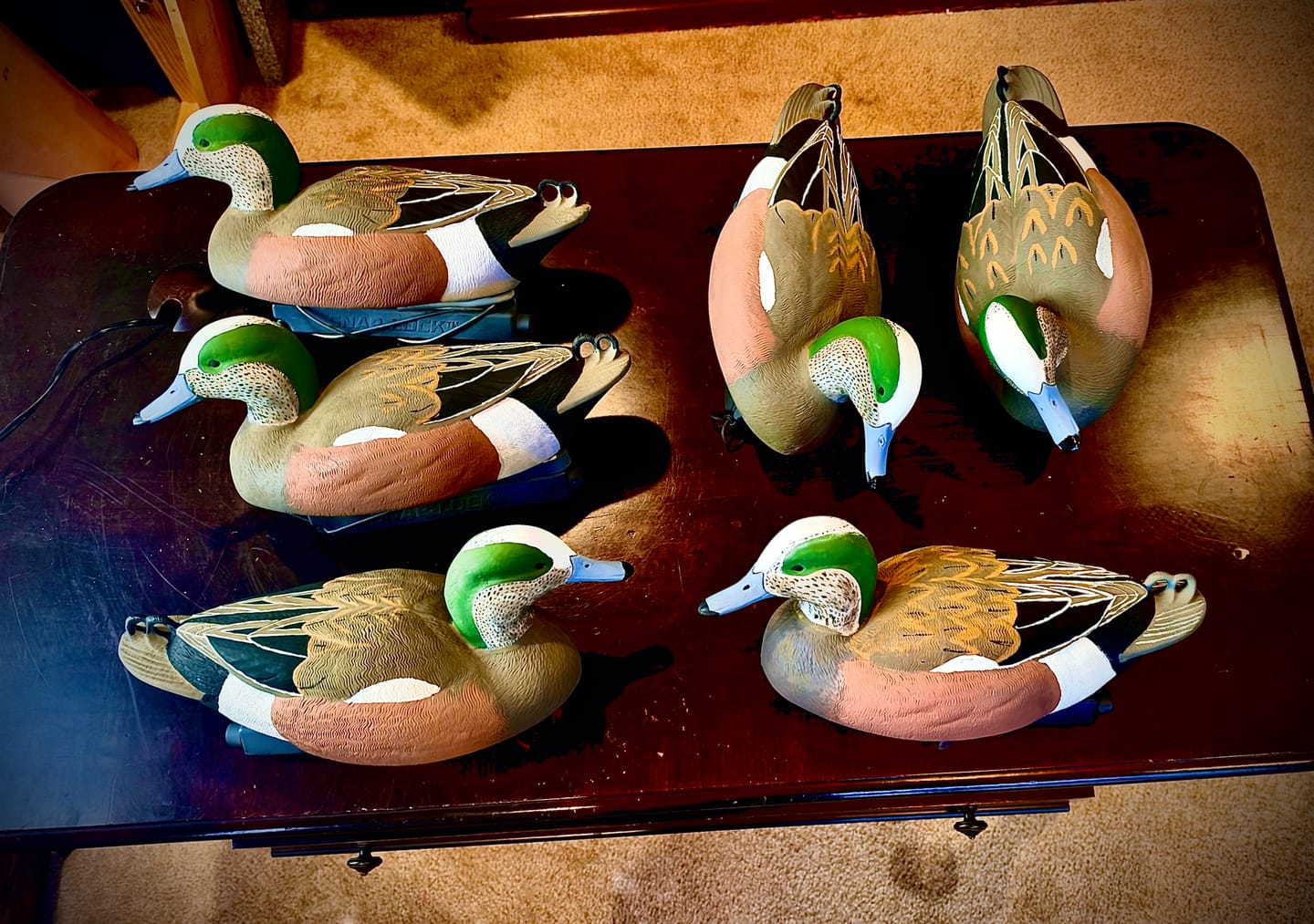 Customer photo review of Decoy Paint Kit - Small