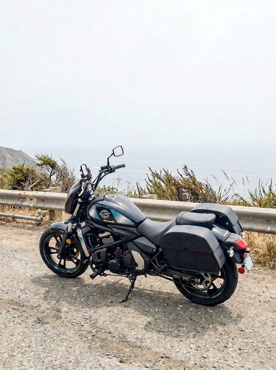 Customer photo review of 28L - Panzer Medium Quick Mount Kawasaki Vulcan S VN650 Leather Saddlebags