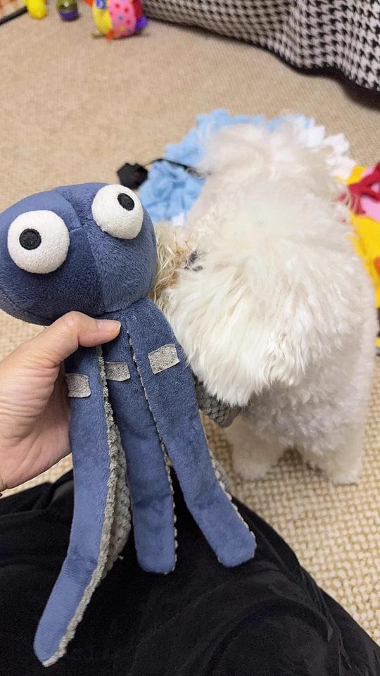 Customer photo review of Ocean Snuffle & Squeaky Plush Enrichment Toy – Available as Single or Set