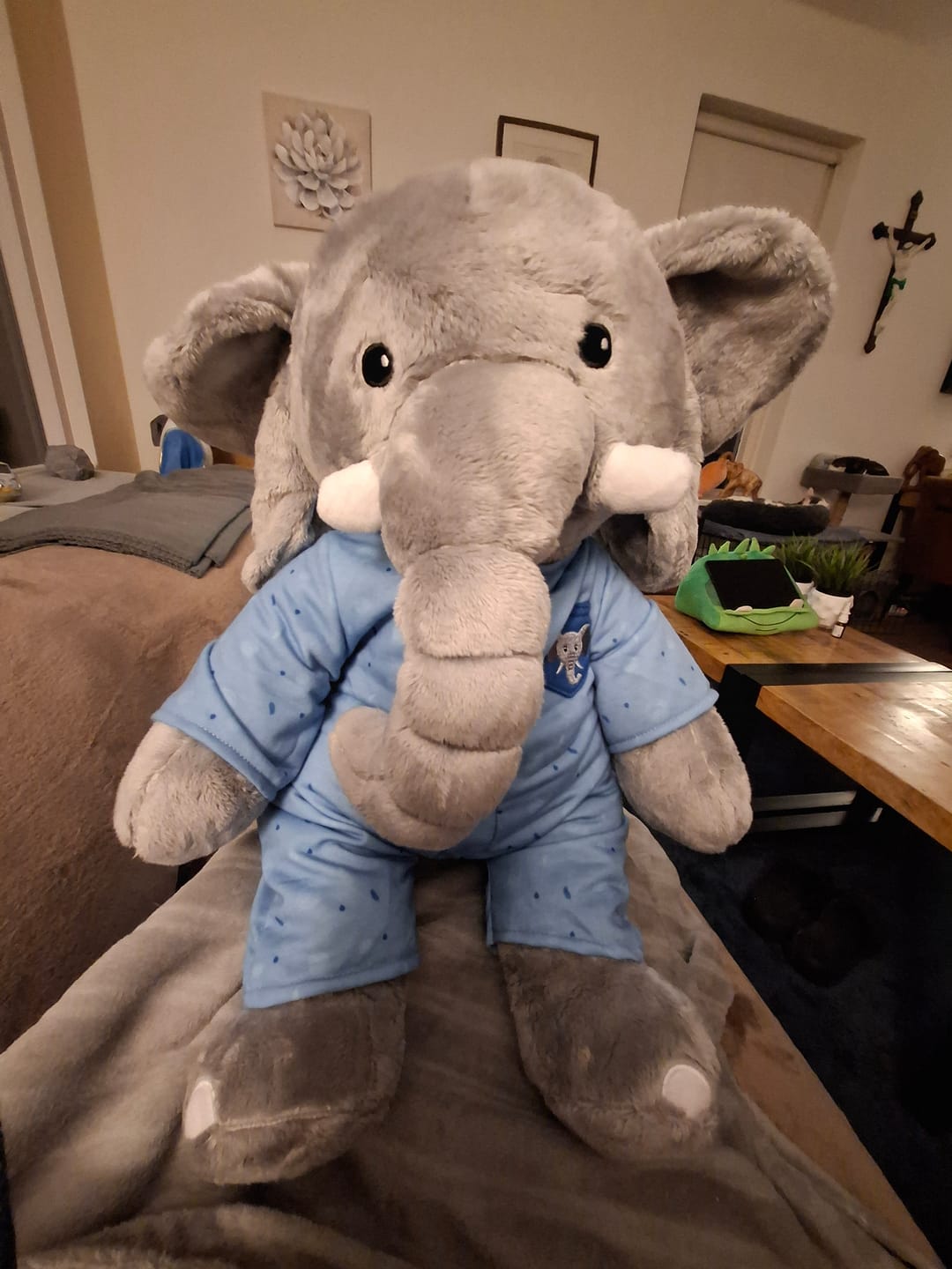 Customer photo review of Olifant Kleding Origineel Lotgenootje