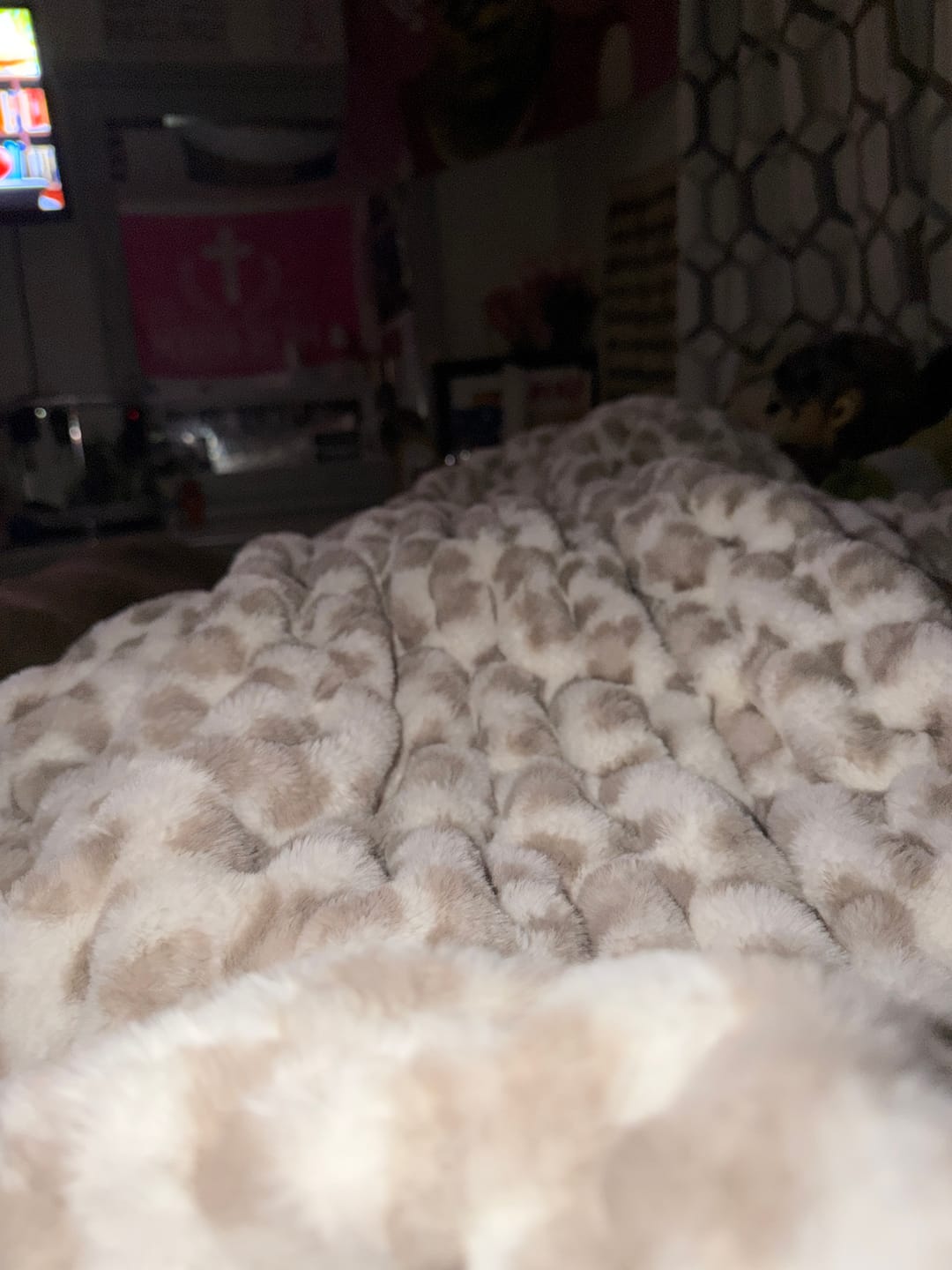 Customer photo review of Hugs Snow Leopard Blanket