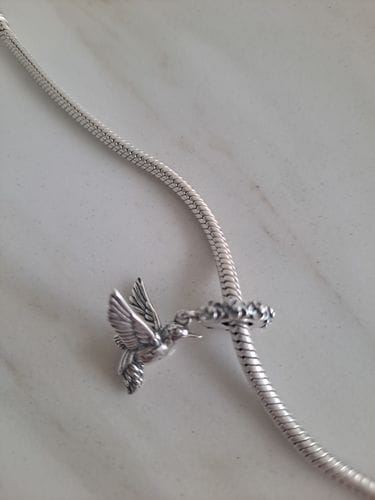Customer photo review of Colibri Mistico