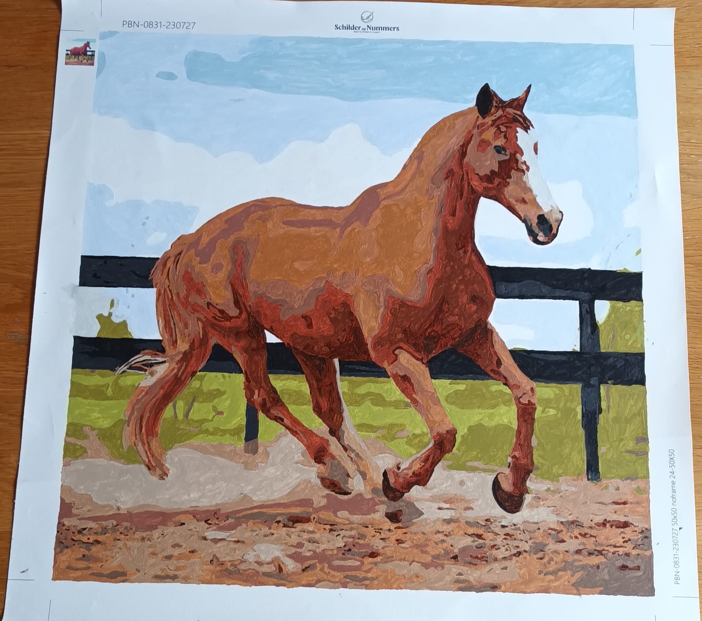 Customer photo review of Eigen Foto | Schilderen op nummer