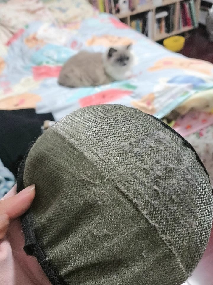 Customer photo review of Extra-Large Static Pet Hair Removal Glove