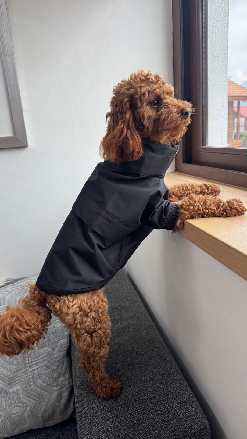 Customer photo review of Chaqueta Impermeable de Lluvia - Negro