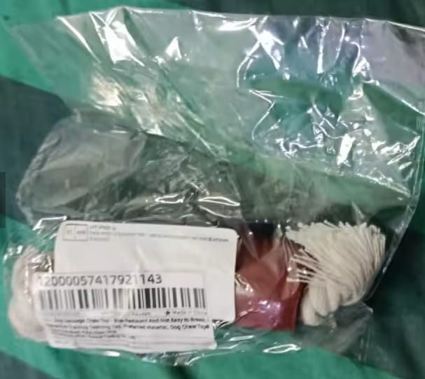 Customer photo review of Chew Toy That Saves Your Shoes & Cables