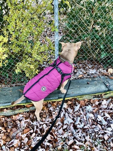 Customer photo review of DinTass 3-i-1-vinterjacka