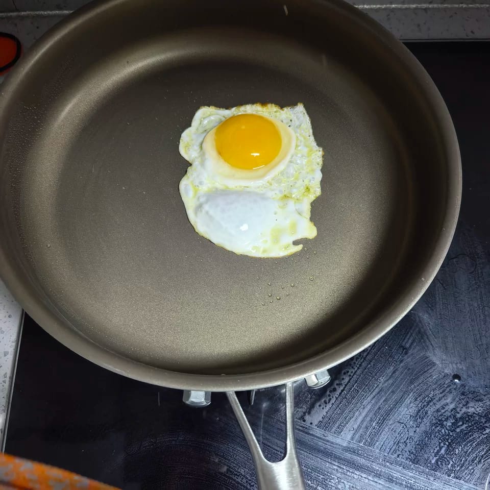 Customer photo review of Pure Pan — Titanium Non-Stick Frying Pan