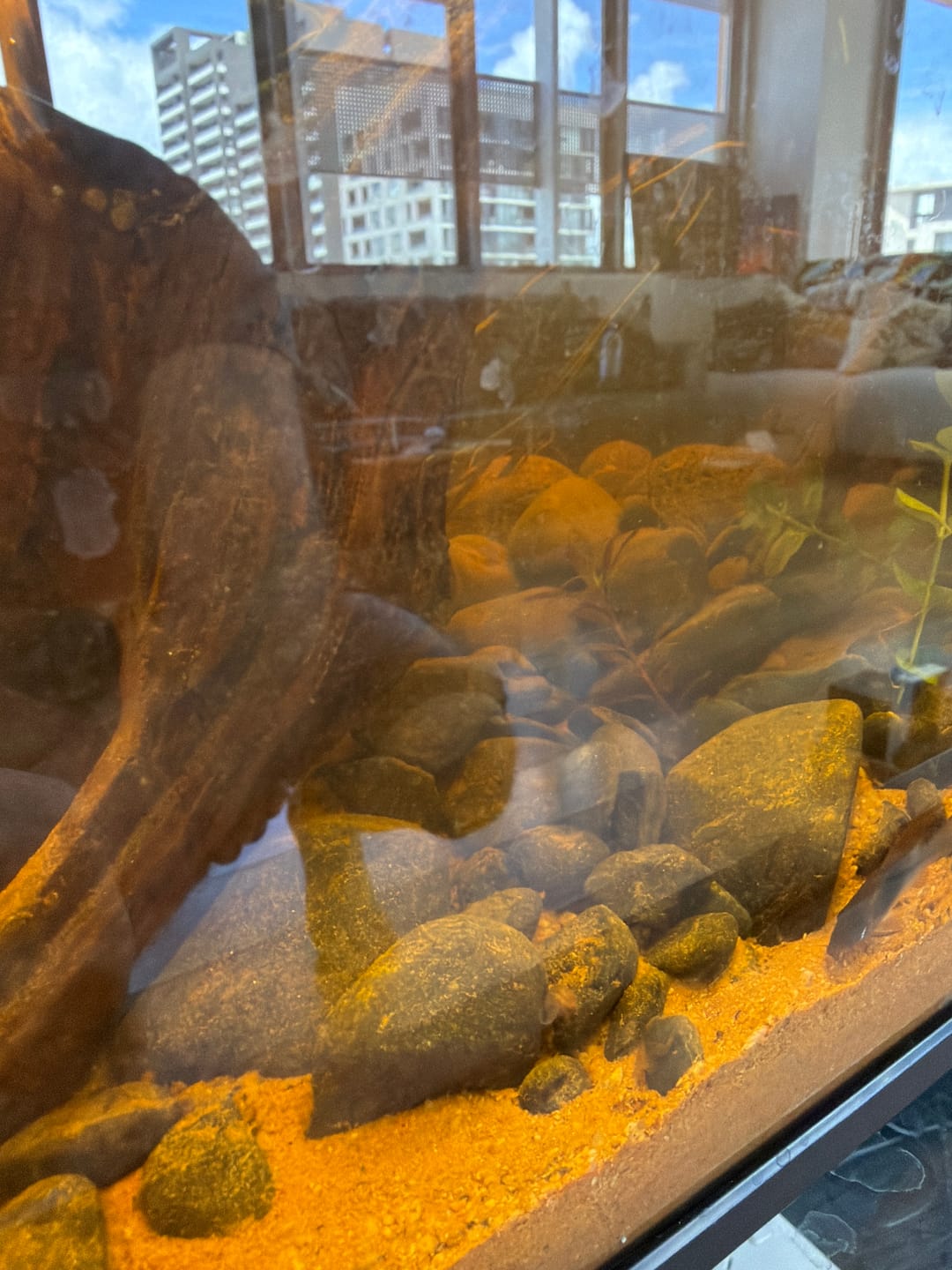 Customer photo review of WIO - Black Venom Gravel Mix - 2kg