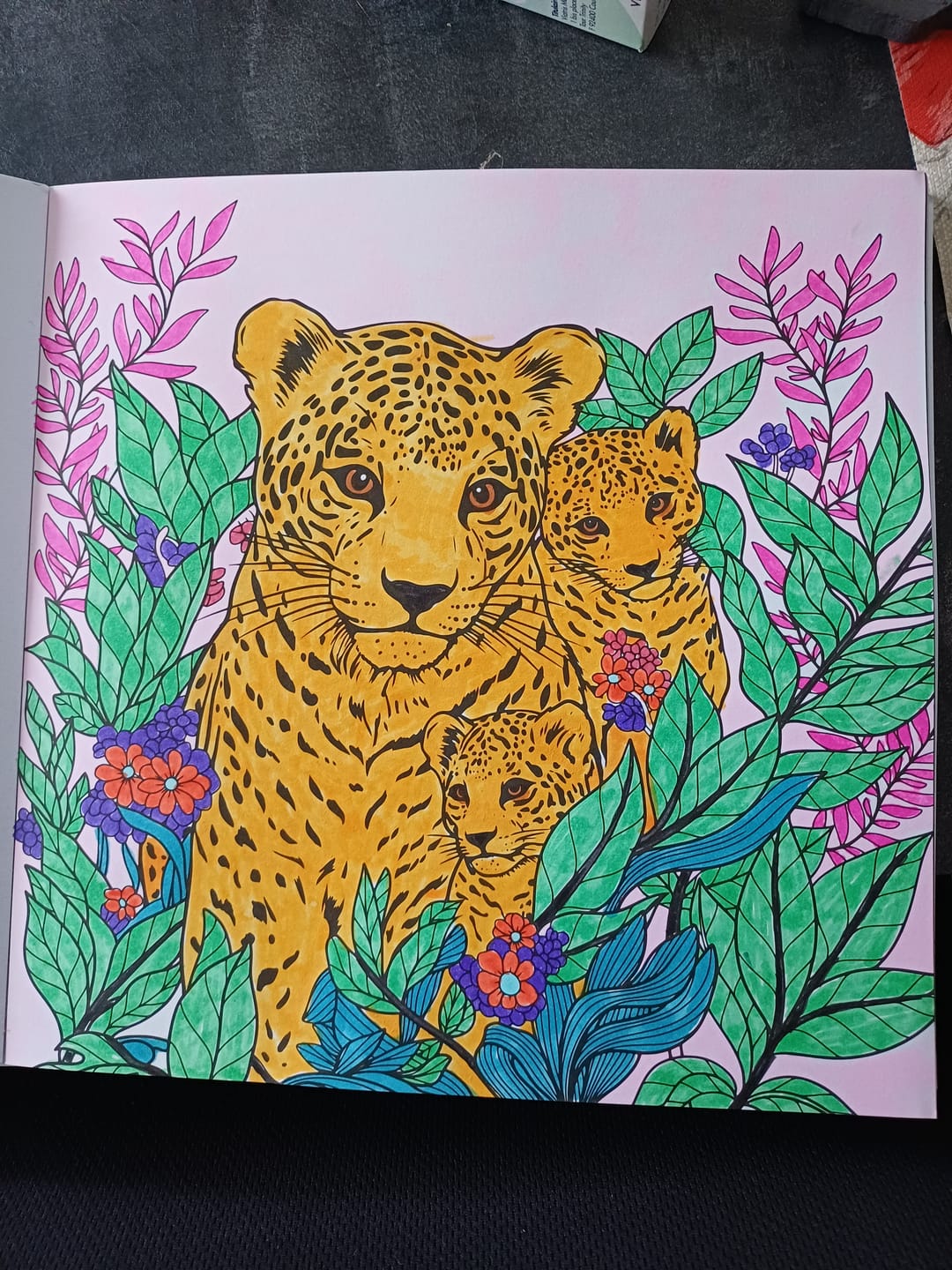 Customer photo review of Livre de Coloriage Adulte - L'Univers des Animaux - 50 pages