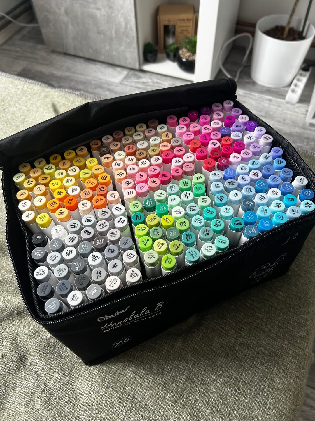 Customer photo review of Ohuhu Honolulu 216 Colors Dual Tips Alcohol Art Markers (New Color Codes)