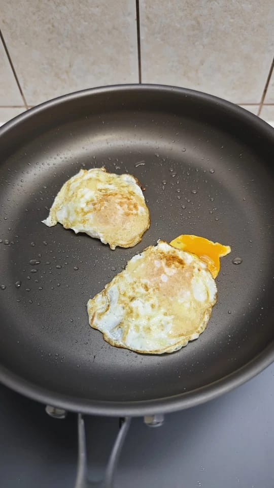 Customer photo review of Pure Pan — Titanium Non-Stick Frying Pan