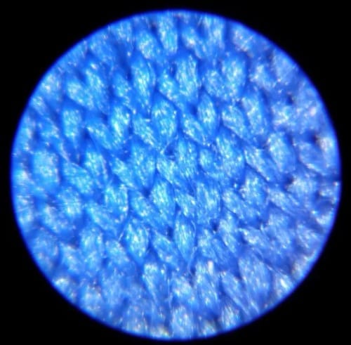 Customer photo review of Montessori Microscope™ - Pocket Microscope