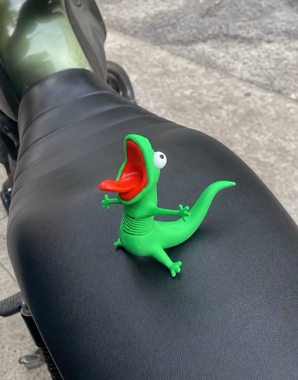 Customer photo review of MyRideBudy™ – The Screaming Lizard