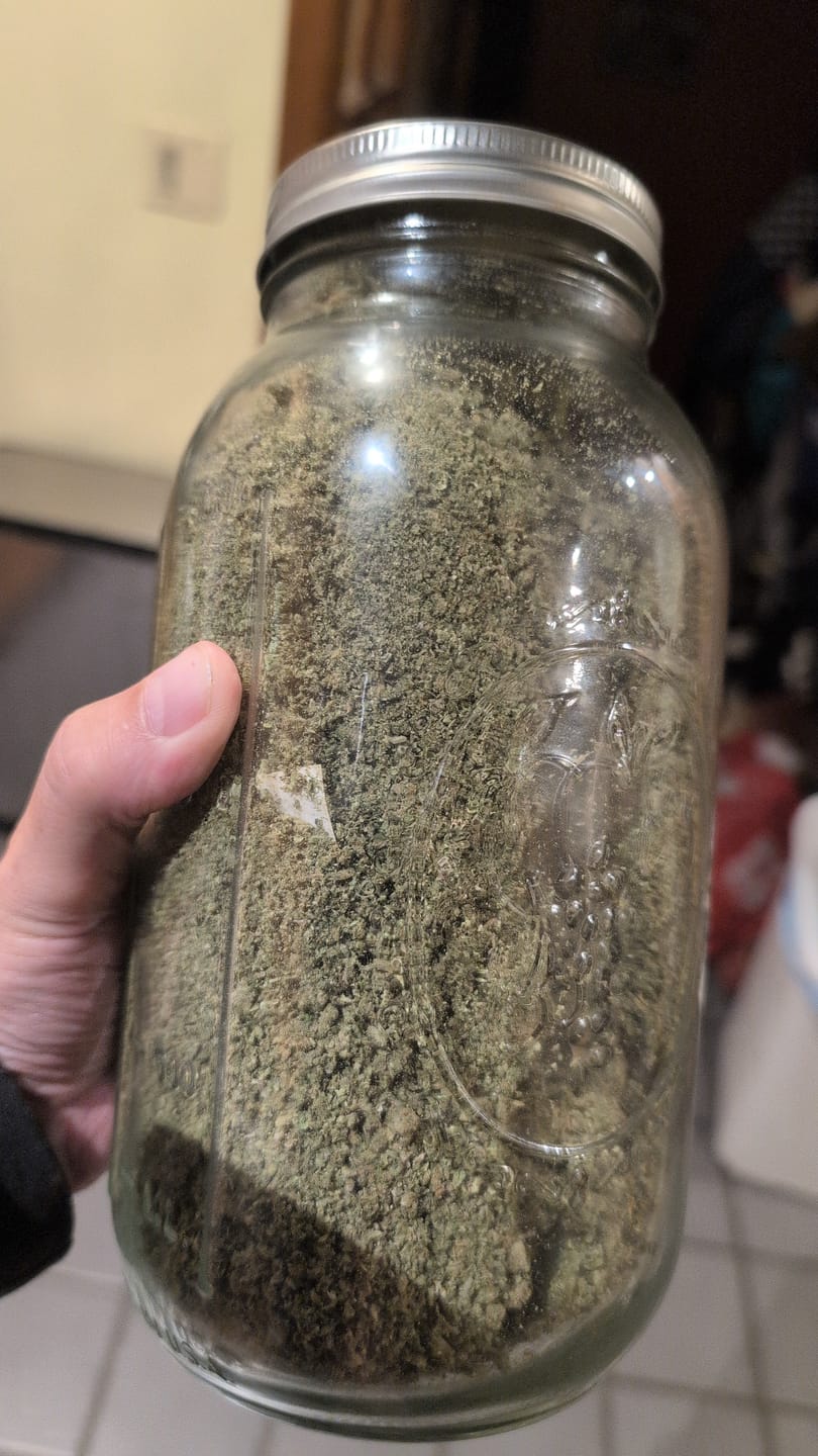 Customer photo review of Chem Dawg Minis - Bulk Minis - Hybrid