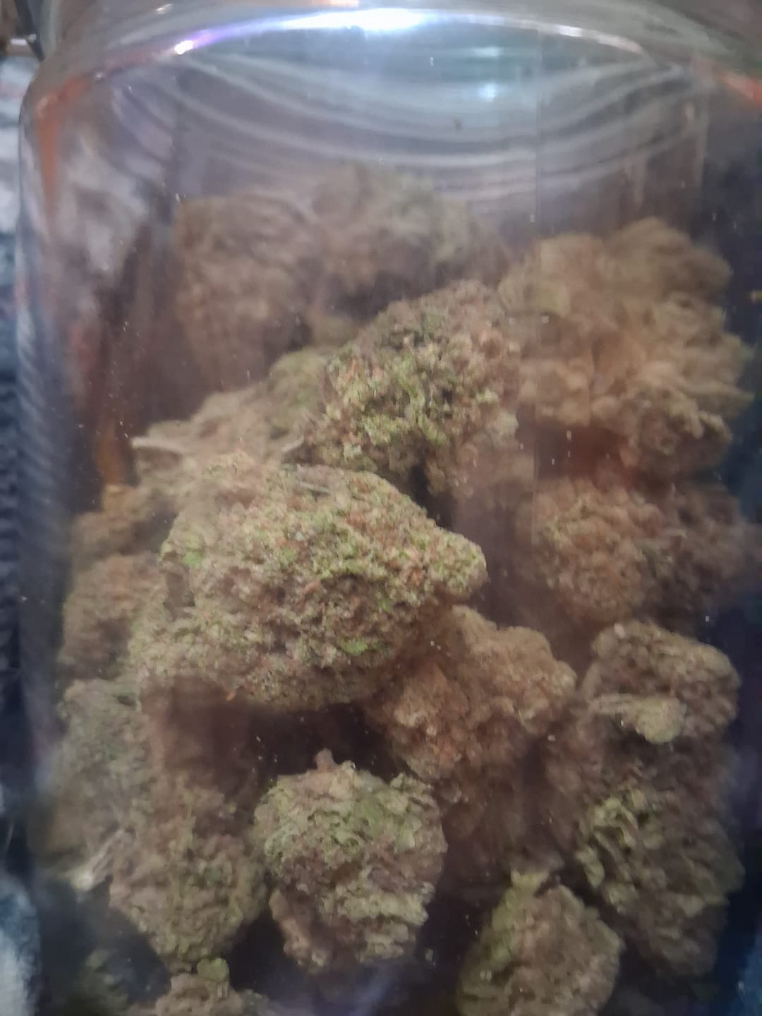 Customer photo review of Khalifa Kush THCA Flower