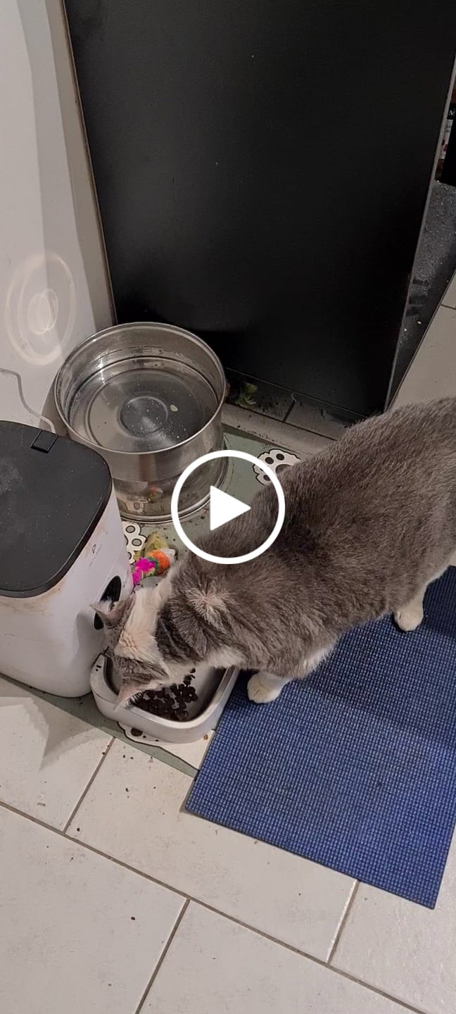 Customer video review of Croquettes Saumon pour Chat - 1. 56 Mig