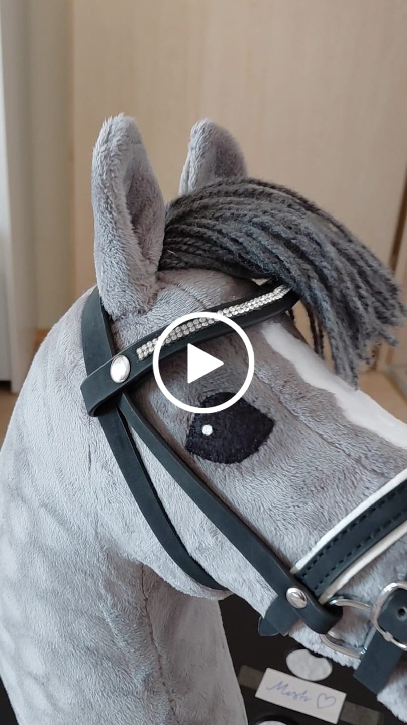 Customer video review of Complete De Luxe bridle with 2 browbands