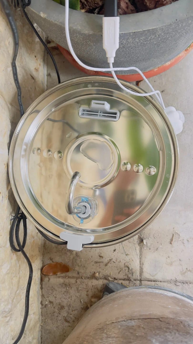 Customer photo review of The Stainless Steel Health Fountain