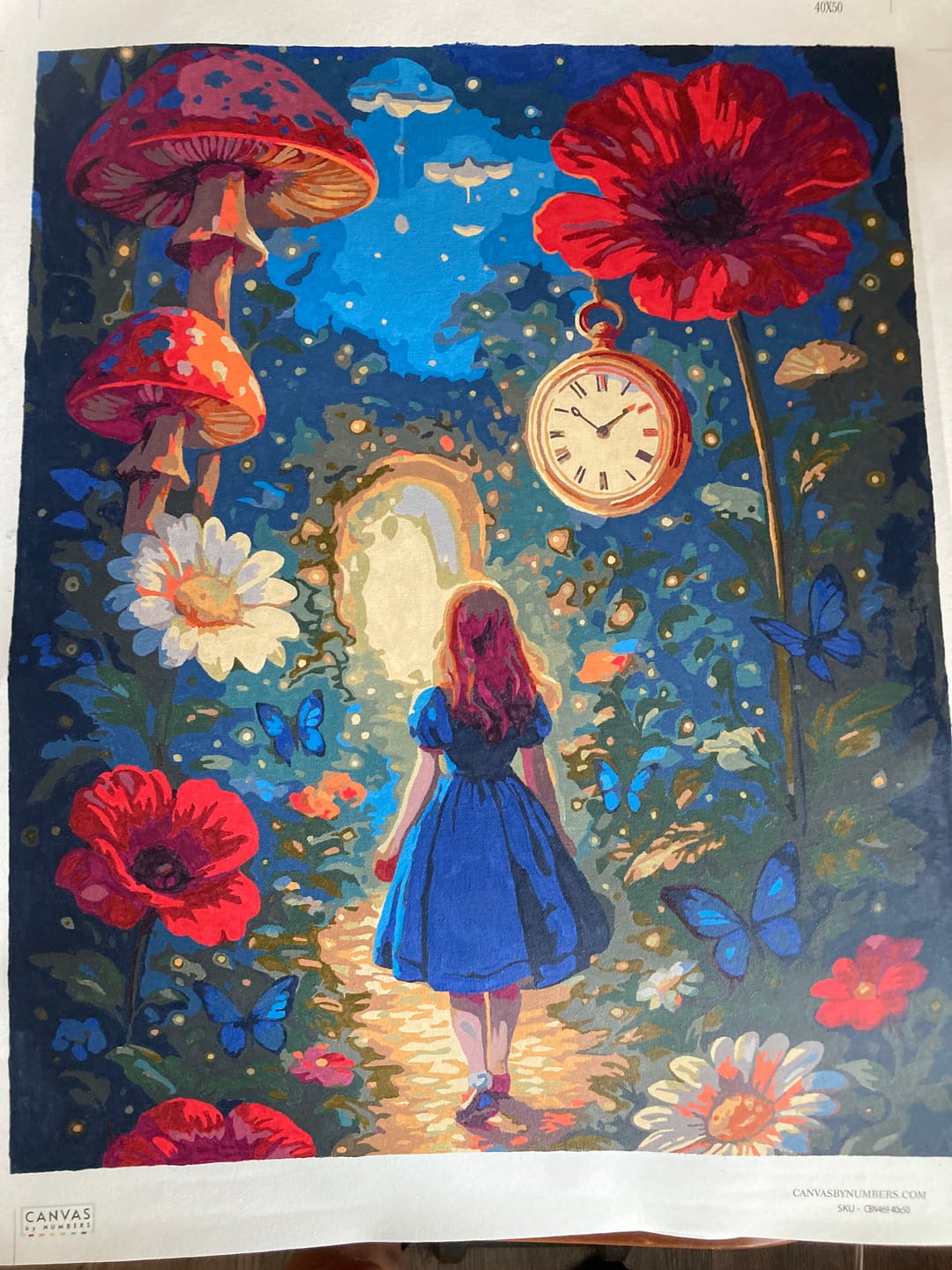 Customer photo review of Pathway to Wonderland